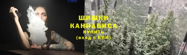 прущие грибы Армянск