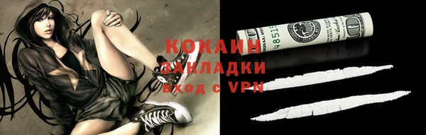 прущие грибы Армянск