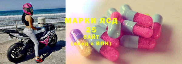 прущие грибы Армянск