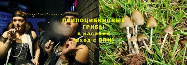 гашик Аркадак