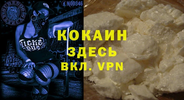 гашик Аркадак