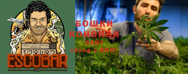 прущие грибы Армянск