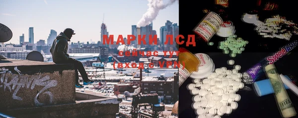 гашик Аркадак