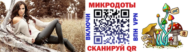 Псилоцибиновые грибы Magic Shrooms  где продают   Сергач 